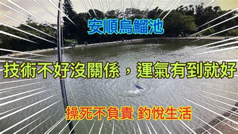 技術不好沒關係運氣有到就好金陵安順烏鰡釣悅生活操死不負責釣魚 Youtube