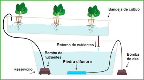 C Mo Hacer Un Sistema Hidrop Nico Casero Nft Peque O Instrucciones