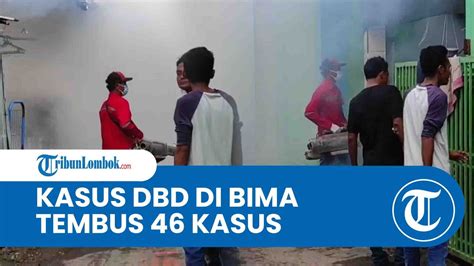 Kasus Demam Berdarah Tembus Kasus Permintaan Fogging Melonjak Di