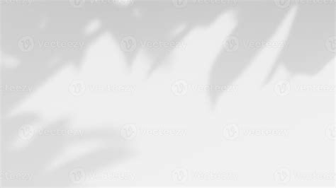 white background of organic shadow over white textured wall 20932118 ...