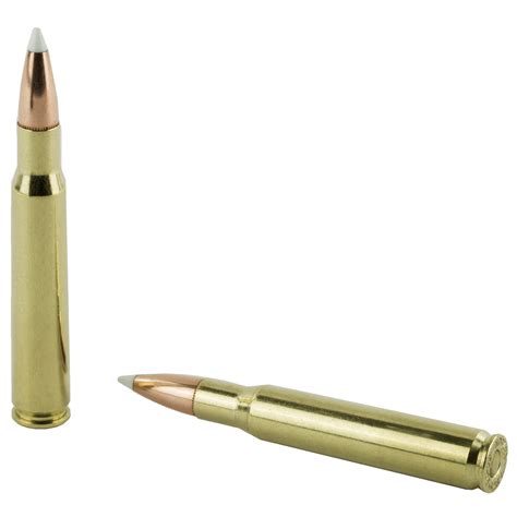 Nosler Trophy 30 06 Springfield 165gr AccuBond 20rd