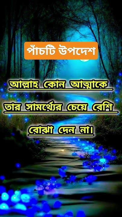 প্রতি রাতে নিজেকে প্রশ্ন করুন আপনি কি আল্লাহর কাছে এক ধাপ এগিয়ে গেছেন নাকি একধাপ দূরে