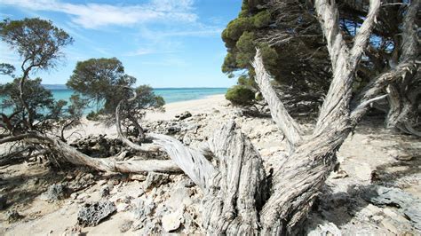 Coffin Bay National Park - Port Lincoln, South Australia