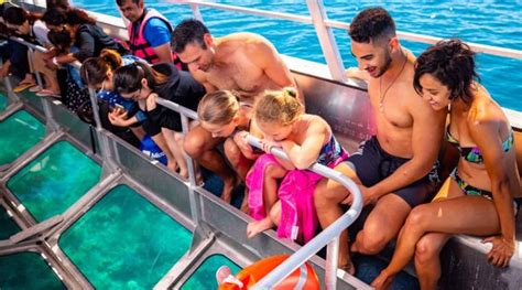 Sunlover Reef Cruises Dive Into The Great Barrier Reef Adventure