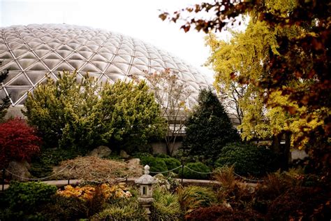 The Bloedel Conservatory | MONTECRISTO