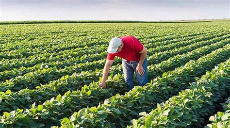 ESONERO CONTRIBUTIVO PER IMPRENDITORI AGRICOLI PROFESSIONALI E