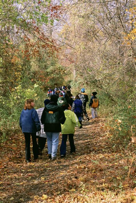 Free Photograph Children Recreation Forest Environmental Education