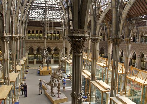 interior   oxford university museum  natural oxford university