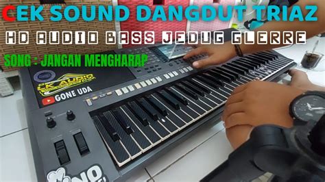 Cek Sound Dangdut Electone Organ Tunggal Bass Jedug Cocok Buat Tes