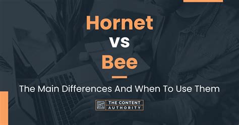 Hornet vs Bee: The Main Differences And When To Use Them