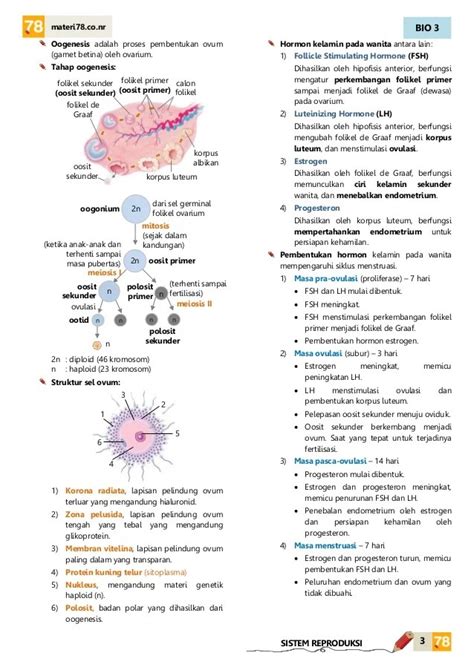 Materi 78 Biologi Meteor