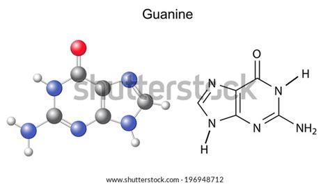 Chemical Structural Formula Model Guanine Dna Stock Vector Royalty Free 196948712