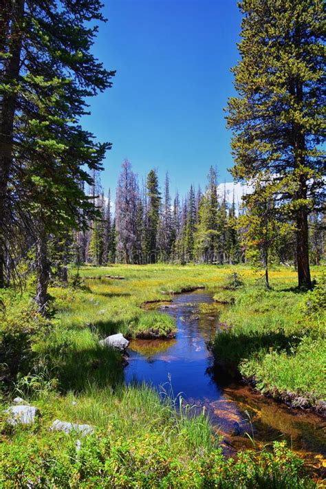 Lake Cuberant Hiking Trail Views Of Ponds Forest And Meadows Around