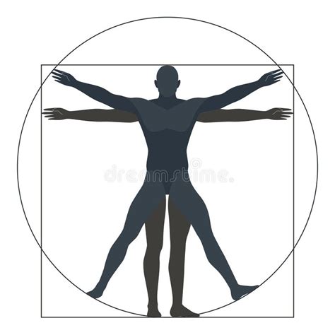 Uomo Da Vinci Style Figure Di Vitruvian Fotografia Editoriale