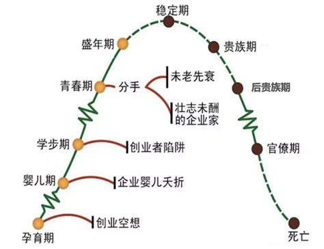 爱迪斯：十阶段企业生命周期模型财经头条