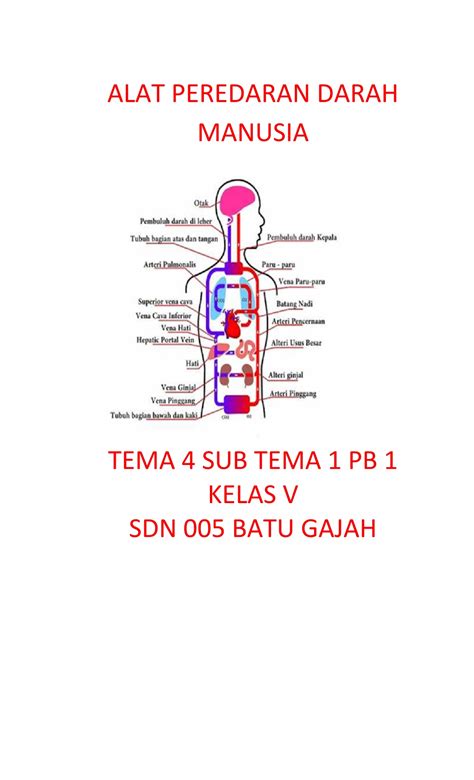 Sistem Peredaran Darah Pulmonalis Ilmu