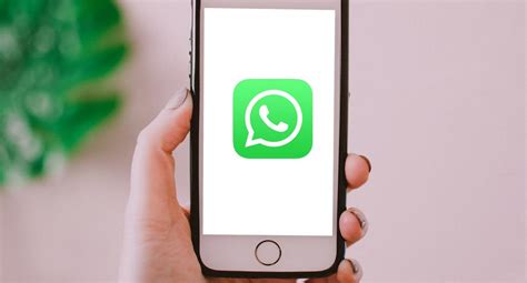 WhatsApp Cómo saber cuántos mensajes has enviado o recibido por la