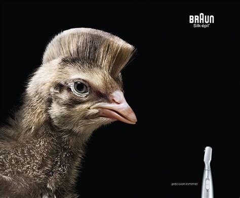 25 Cute And Funny Print Ads Starring Animals | Print advertising, Print ...