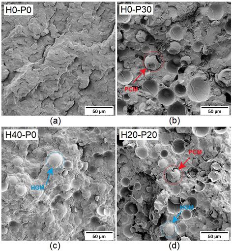 SEM Micrographs Of The Cryo Fractured Surfaces Of Four Selected