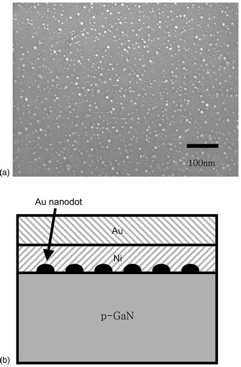 A SEM Image Of The GaN Layer Showing The Array Of Au Nanodots 4 10 Nm