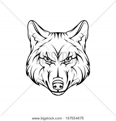 Vector Sketch Wolf. Vector & Photo (Free Trial) | Bigstock