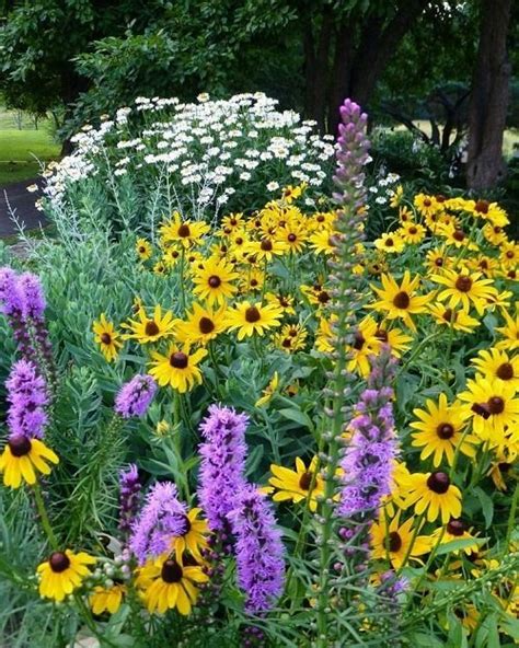 20 Best Tall Perennial Flowers | Balcony Garden Web