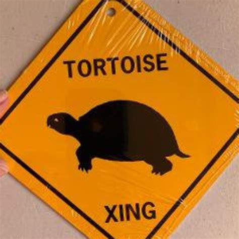 Tortoise Xing 6x6 Inch Funny Aluminum Metal Yard House Garden Etsy