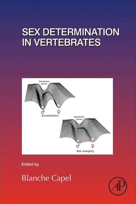 Sex Determination In Vertebrates Blanche Capel