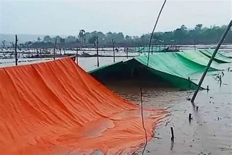 Puluhan Ton Bawang Hasil Panen Petani Bima Terendam Banjir