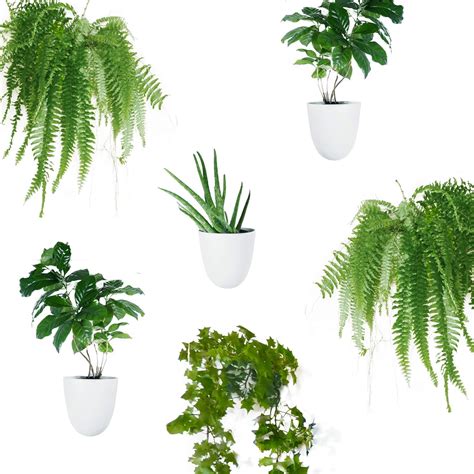 Make Good Virgo Self Watering Wall Planters Set Of 6 Lightweight And Easy To