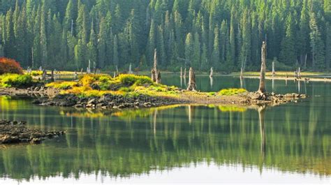 Water Reflections Goose Lake Wa Ford Pinchot National Forest Stock Image Image Of