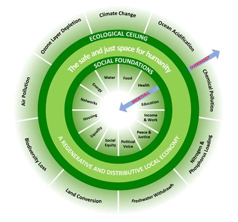 Doughnut Economics | Circular Dorking