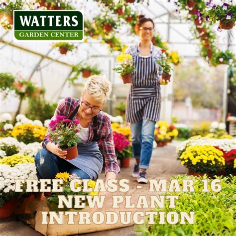 Watters Nd Spring Open House And The New Plant Introductions