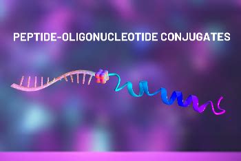 Dna Peptide Conjugates Altabioscience