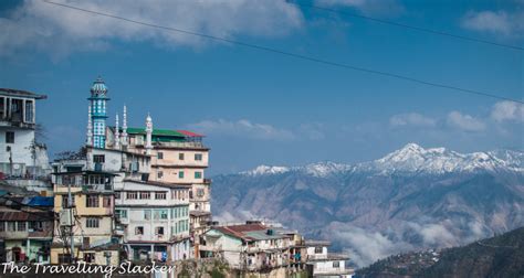 Mussoorie: Winter Hike to Lal Tibba | The Travelling Slacker