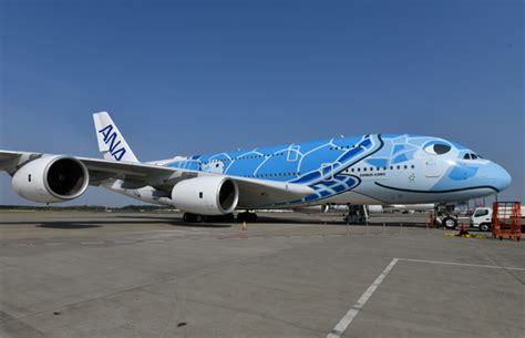 Ana、空飛ぶウミガメa380公開 ファーストクラスやペア席ビジネスも