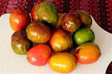 It's Ciruela Season, but What Makes Mexican Plums So Special?