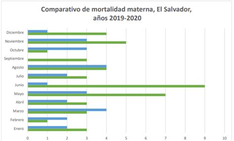 Mortalidad Materna Observatorio De Derechos Sexuales Y Derechos