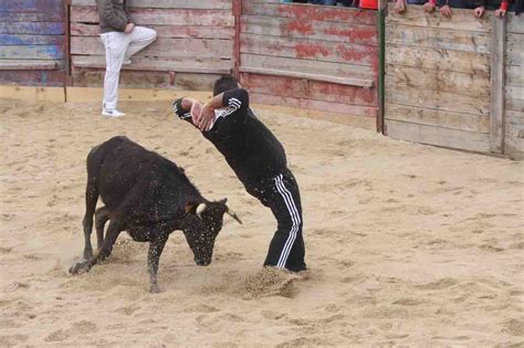 Ayuntamiento Gallegos De Arga An Diversi N Para Todos En La Primera