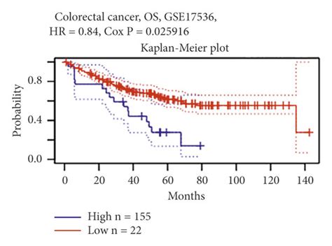 Correlation Between Lrrc Expression And Survival Of Crc Patients