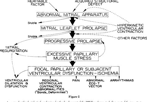 Pdf The Pathophysiology Of Idiopathic Mitral Valve Prolapse