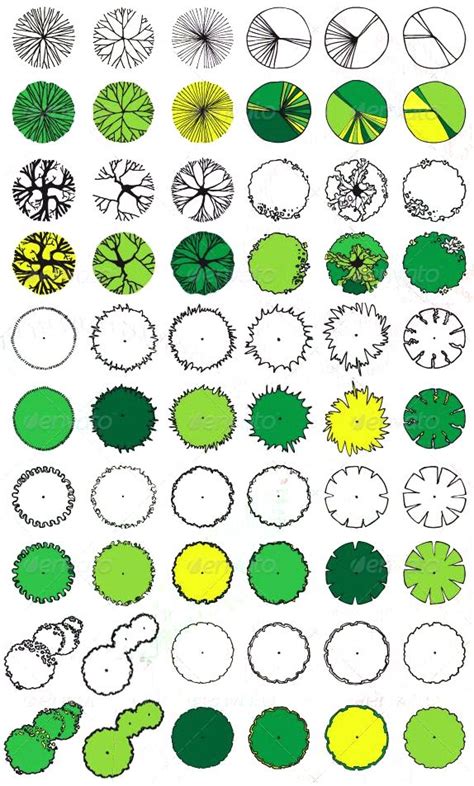 Arbres En Plan Landscape Architecture Drawing Landscape Design