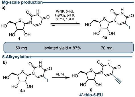 Biocatalytic Nucleobase Diversification Of 4Thionucleosides And