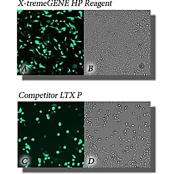 Roche X Tremegene Hp Dna Transfection Reagent High Performance