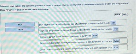 Solved Telomeres Solve Stability And Replication Problems At Chegg