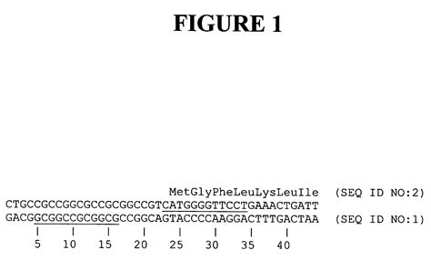 Dna Rna Fragmentation Patented Technology Retrieval Search Results