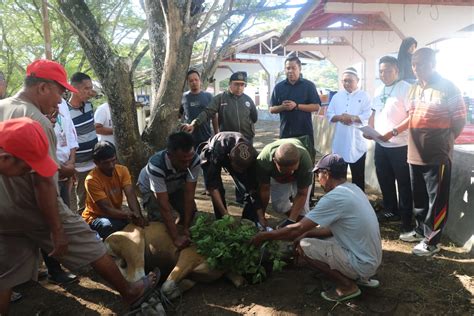 Infopublik Setwan Provinsi Gorontalo Potong Ekor Sapi