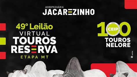 Leil O Virtual Touros Reserva Etapa Mt Agropecu Ria Jacarezinho