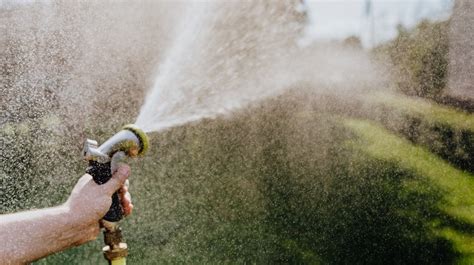 Dois je arroser ma pelouse après l avoir tondue Habitats Durables