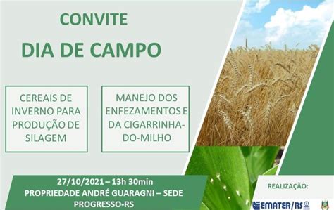 Emater Rs Ascar Secretaria Da Agricultura Realizar O Tarde De Campo